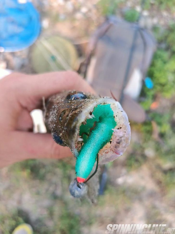 Изображение 15 : Набор поролоновых рыбок Левша НН 3D Ex Worm 10см – мой первый поролон