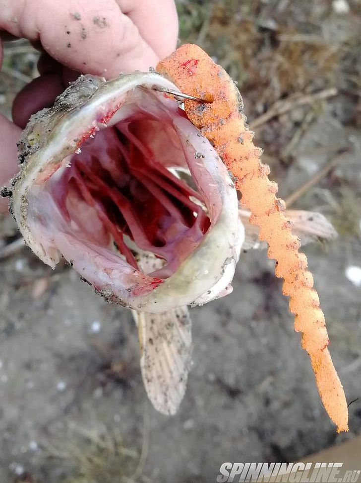 Изображение 7 : Набор поролоновых рыбок Левша НН 3D Ex Worm 12см Fluo – продолжаем изучать поролон