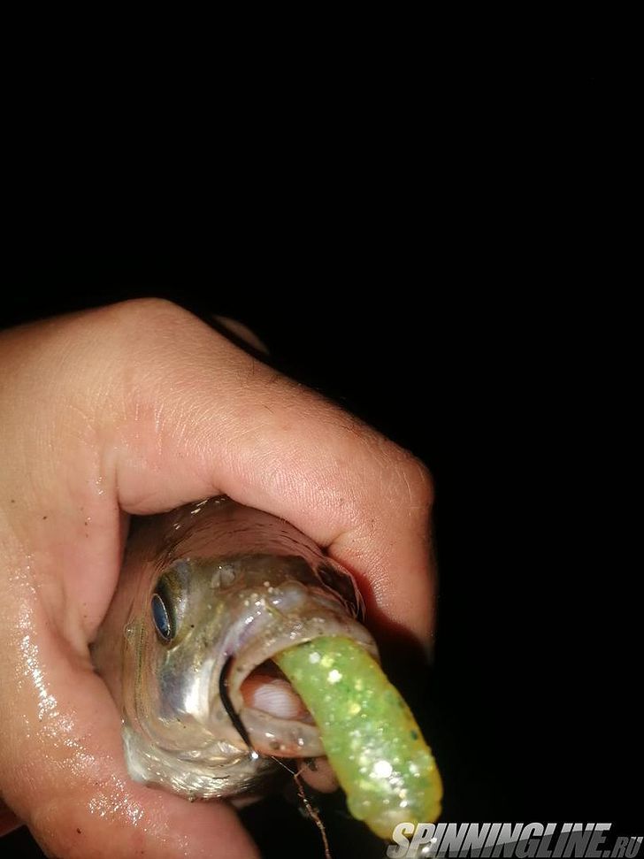 Изображение 5 : Lucky John Baby Rockfish 61 – минивиброхвост