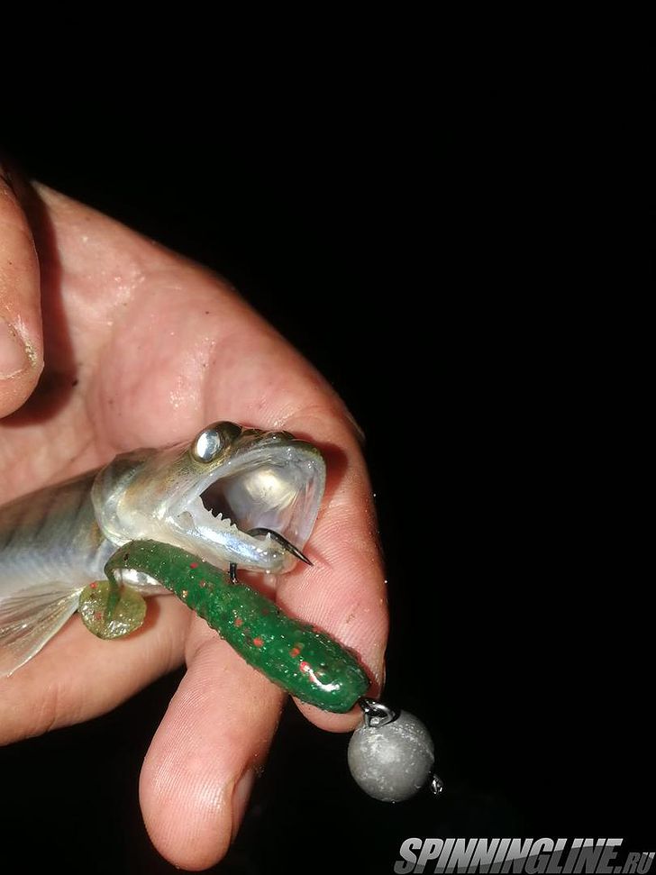 Изображение 6 : Lucky John Baby Rockfish 61 – минивиброхвост