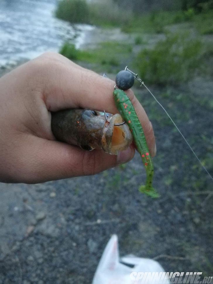 Изображение 7 : Lucky John Baby Rockfish 61 – минивиброхвост