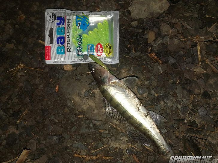 Изображение 10 : Lucky John Baby Rockfish 61 – минивиброхвост