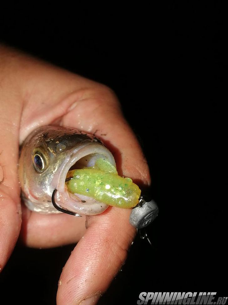 Изображение 22 : Lucky John Baby Rockfish 61 – минивиброхвост