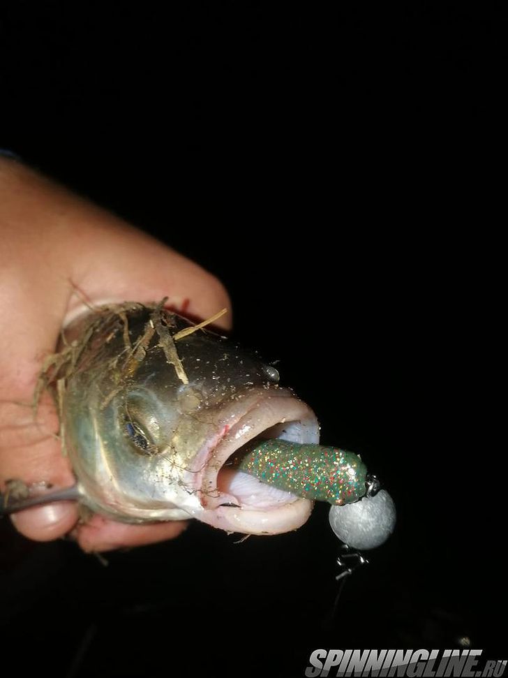 Изображение 24 : Lucky John Baby Rockfish 61 – минивиброхвост