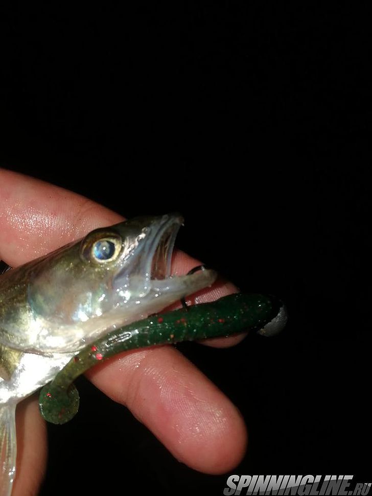 Изображение 32 : Lucky John Baby Rockfish 61 – минивиброхвост