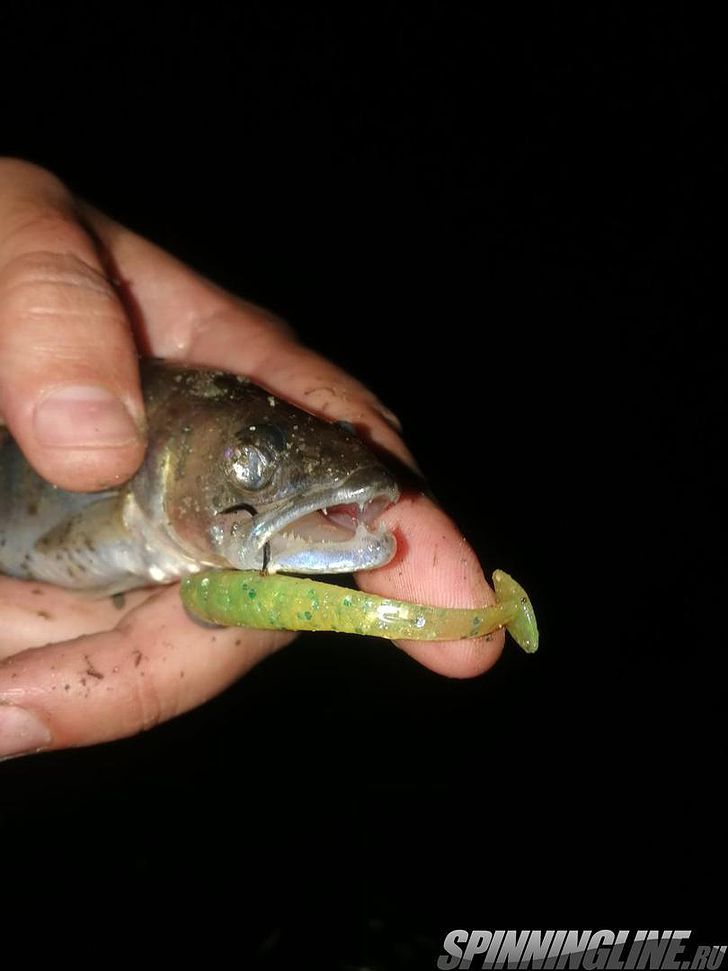 Изображение 33 : Lucky John Baby Rockfish 61 – минивиброхвост