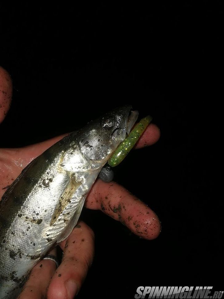 Изображение 30 : Lucky John Baby Rockfish 61 – минивиброхвост