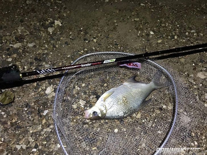 Изображение 5 : Кама, жара, рыбалка с ночёвкой.