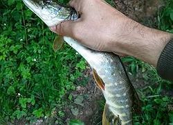 20170628_082215