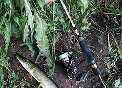 20170628_082307