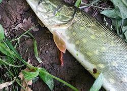 20170628_082318
