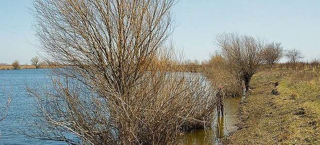  'Как ловить весной в Астраханской области? День 1'