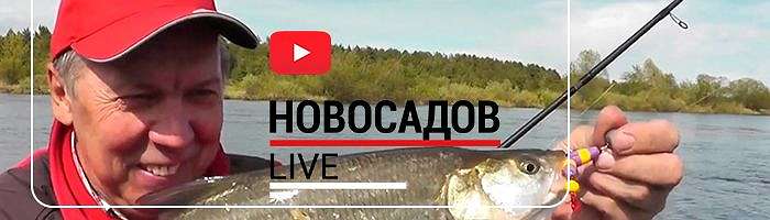  'Новое видео с воды от Валерия Новосадова'