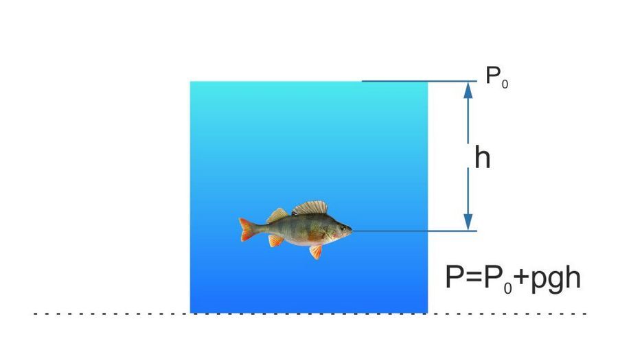 Атмосферное давление для зимней рыбалки: какое считается нормой?