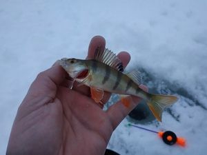 Как привязывать мормышки для зимней рыбалки - Советы начинающему