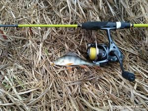 Изображение 4 : Crazy Fish Polaris - палочка-выручалочка при ловле окуня