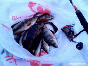 Изображение 5 : Обзор катушки Okuma Inspira 25s после 250 часов рыбалки в самых жестких условиях