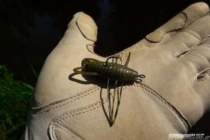 Изображение 3 : Резина Reins Insecter – тараканы для голавля