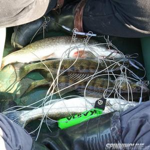 Изображение 3 : Спиннинг S.V-Fishing Flex 260