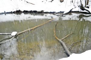 Изображение 8 : Ловля щуки на малых реках в зимнее время