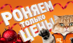 Акция Новогодняя распродажа